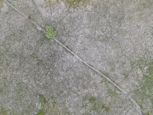 DJI_2877.JPG